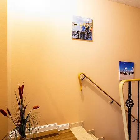 Kleine Meereskrabbe *